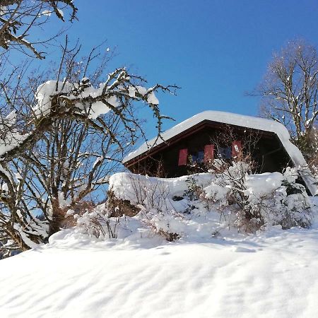 Ferienhaus Schnider Galgenul Eksteriør bilde